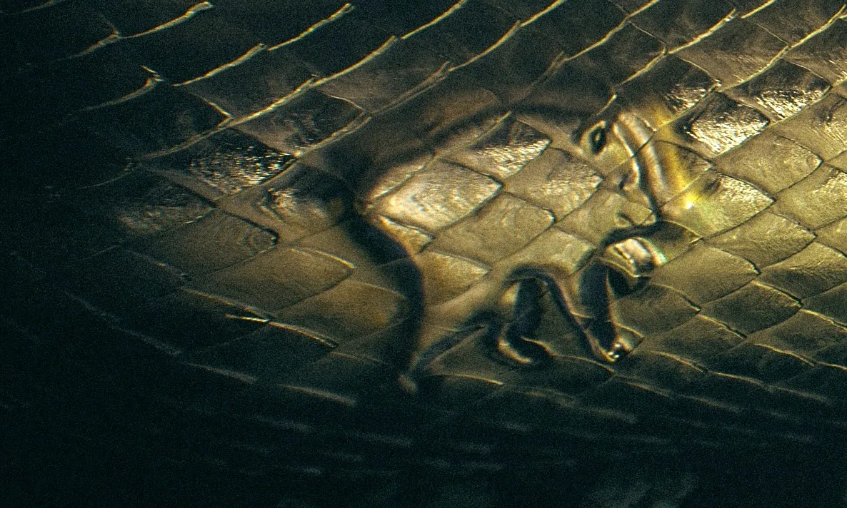bewareboiúna